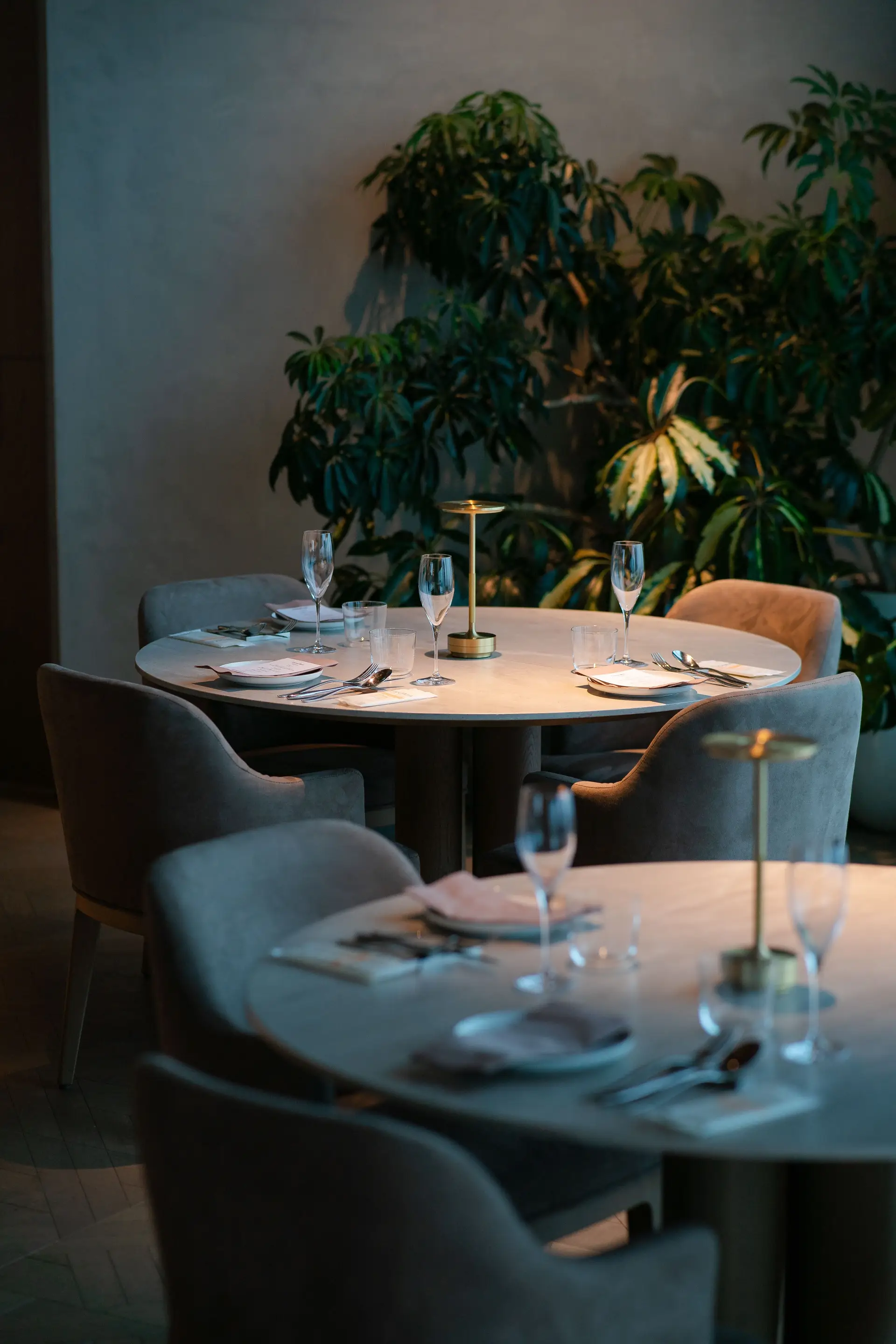 Ambient dining lighting
